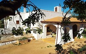 Lama di Galizia